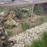 phoca_thumb_m_vlet km 11 Fotogalerie